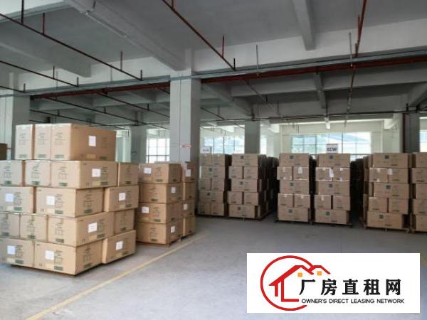  东莞凤岗冷库电商科技公司独院厂房出租4万平