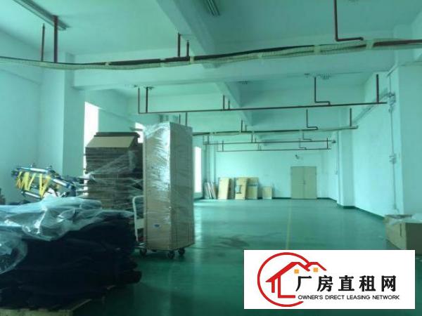  龙岗500平800平1200带装修办公室地坪漆厂房出租