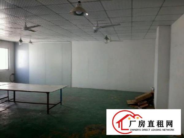  龙岗中心城南约带装修厂房1000平米出租