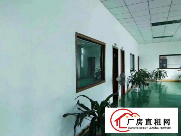  龙岗同乐原房东楼上整层1200平出租，白菜价15元