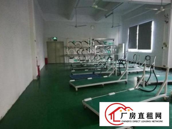  龙岗中心城新生工业园新出厂房1000平带装修