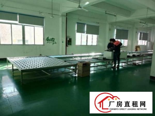  龙岗中心城新生工业园新出厂房1000平带装修