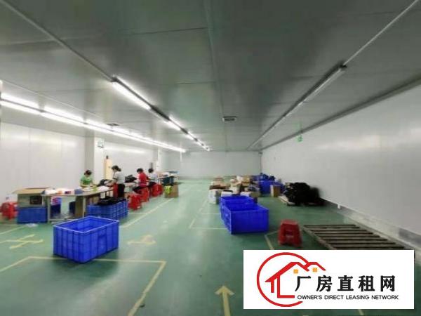  龙岗龙西原房东二楼整层1000平实际面积，送装修，无需转让费
