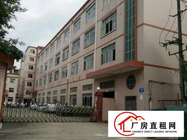  同乐浪背原房东无公摊楼上整层1200平15元出租