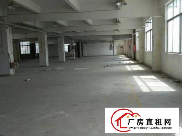  同乐浪背原房东无公摊楼上整层1200平15元出租