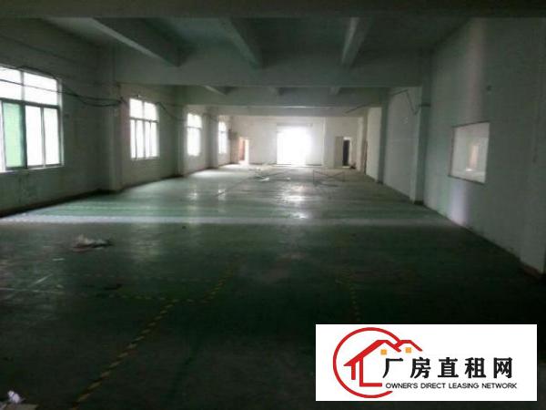  龙岗龙西北通道独院厂房5000平大小分租