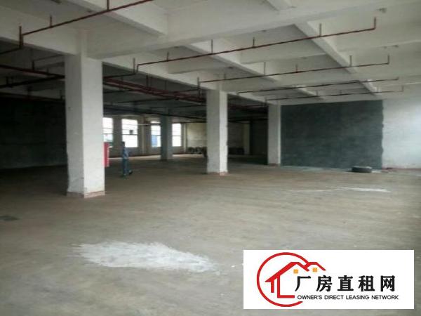  龙岗龙东新出一楼厂房1150平米招租