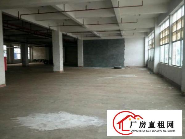  龙岗龙东新出一楼厂房1150平米招租