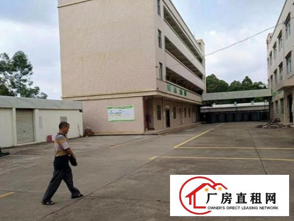  龙岗新生新出独院厂房3000平米，可分租