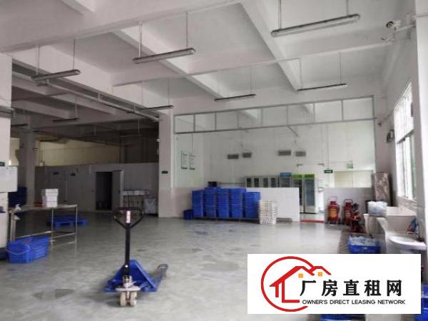  龙岗龙东独院一楼标准厂房出租650平米