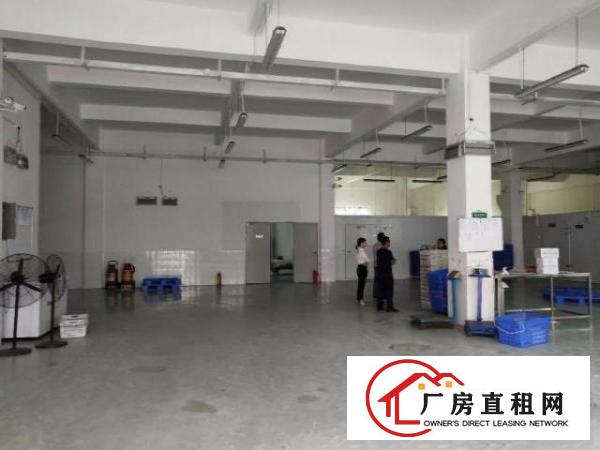  龙岗龙东独院一楼标准厂房出租650平米