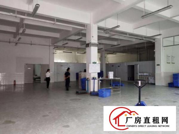  龙岗龙东独院一楼标准厂房出租650平米