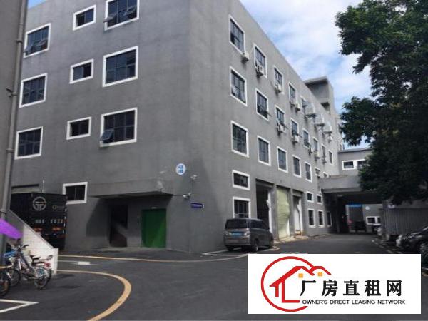  龙岗南联楼上450平米豪华装修电商厂房车间出租