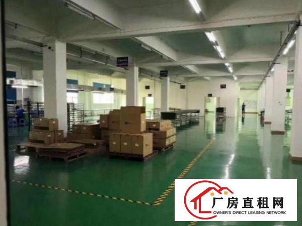  龙岗新生工业园二楼厂房1200平米可办环评可分租