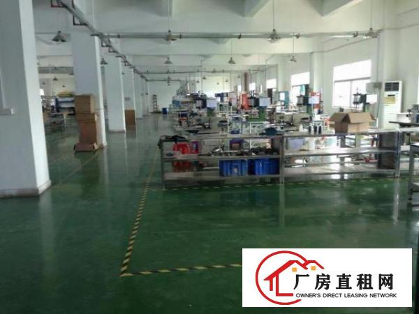  龙岗南联花园式工业园600平米带装修厂房出租