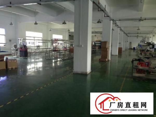  龙岗南联花园式工业园600平米带装修厂房出租