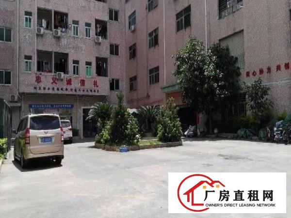  龙岗原房东一二楼1050平龙岗厂房出租招租嶂背同乐