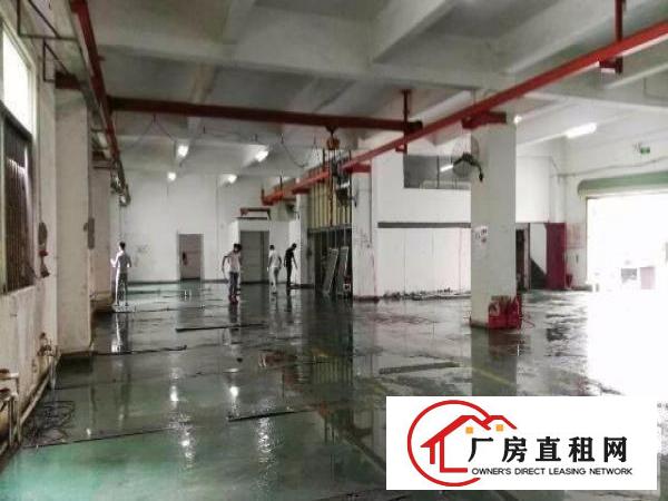  龙岗原房东一二楼1050平龙岗厂房出租招租嶂背同乐
