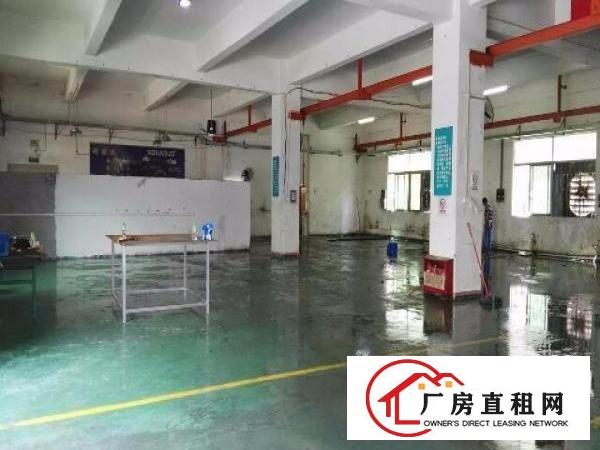  龙岗原房东一二楼1050平龙岗厂房出租招租嶂背同乐