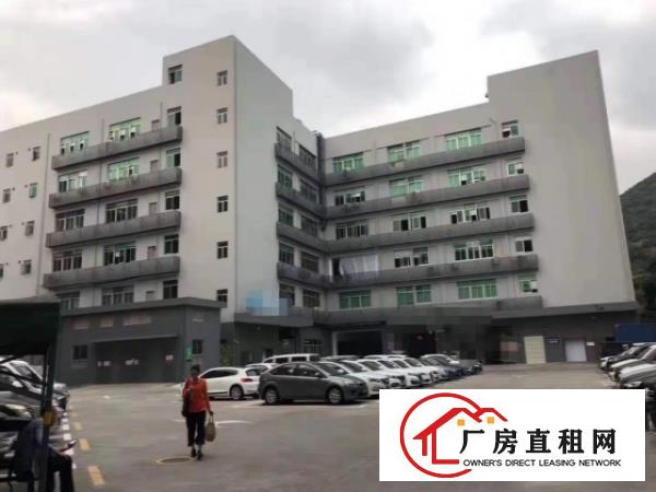  龙岗同乐商务酒店旁楼上350平现成装修