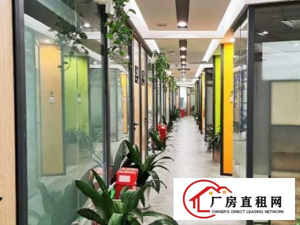  龙岗中心城办公室出租，开业优惠特价