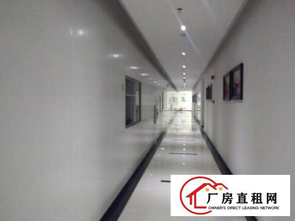  龙岗南联新出无尘车间1200平厂房出租