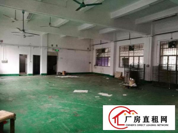  龙岗中心城龙西务地铺新出楼上650平带装修厂房出租