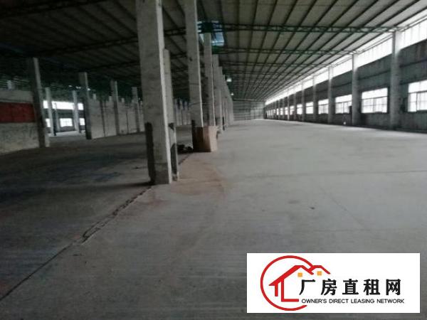  龙岗中心城龙西五联钢构厂房3000平米出租