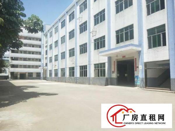  龙岗南联厂房出租500平有装修办公室地坪漆
