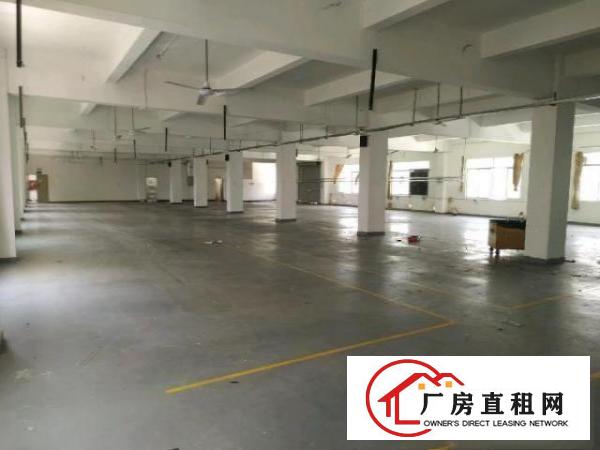  龙岗南联厂房出租500平有装修办公室地坪漆