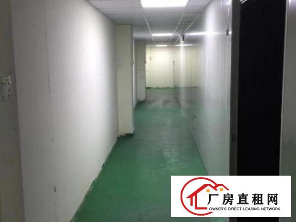  龙岗南联红本原房东楼上700平无尘车间无转让费2吨电梯
