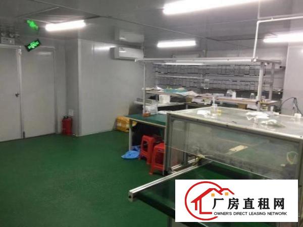  龙岗南联红本原房东楼上700平无尘车间无转让费2吨电梯