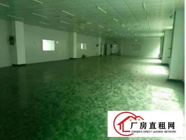  龙岗同乐原房东带装精装修厂房1200平招租可分租