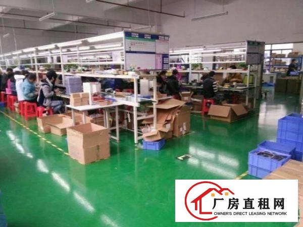  龙岗中心城南联南约厂房500平至1000平出租