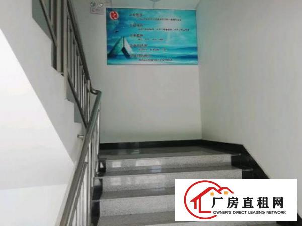  龙岗宝龙工业区厂房有消防喷淋2000平米出租