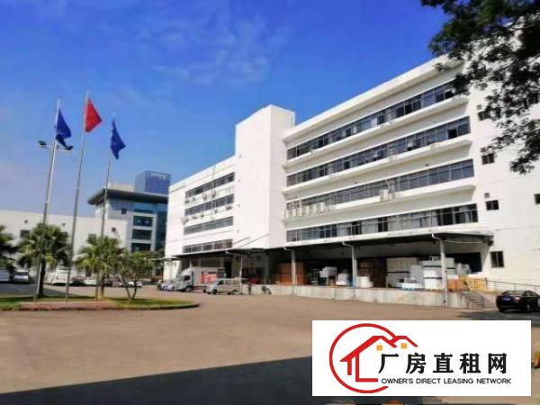  龙岗宝龙工业区花园式独院厂房一楼整层3600平招租