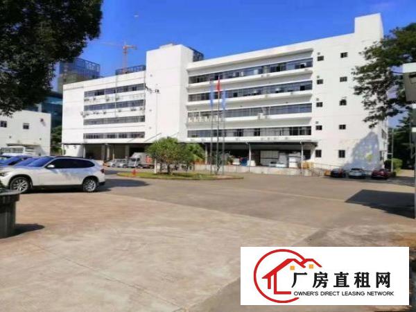 龙岗宝龙工业区花园式独院厂房一楼整层3600平招租