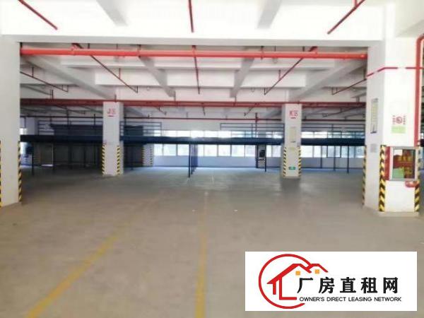  龙岗宝龙工业区花园式独院厂房一楼整层3600平招租