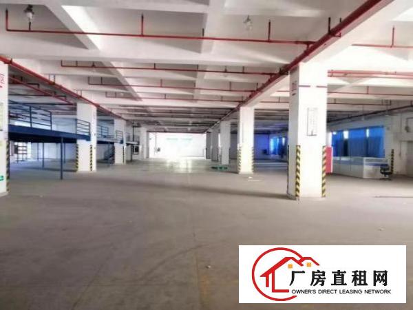  龙岗宝龙工业区花园式独院厂房一楼整层3600平招租
