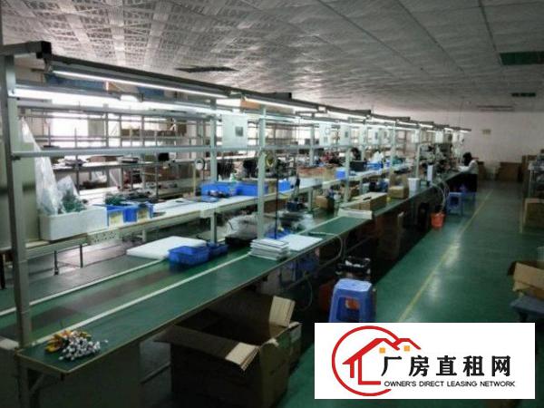  龙岗新生工业园新空出二楼厂房1000平米，有电梯