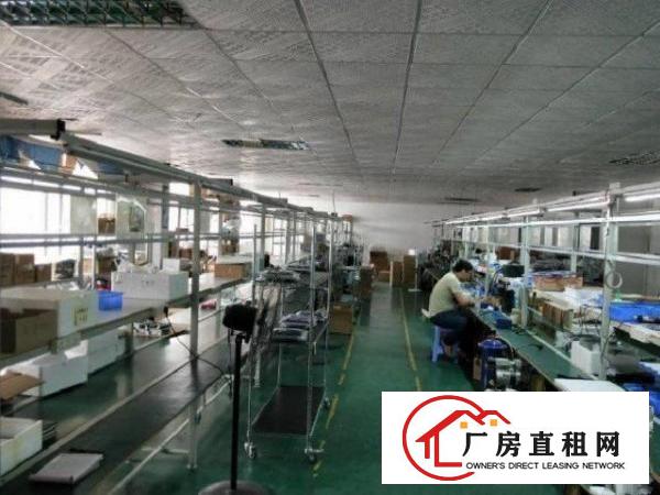  龙岗新生工业园新空出二楼厂房1000平米，有电梯