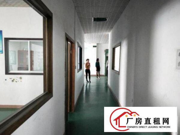  龙岗新生工业园新空出二楼厂房1000平米，有电梯