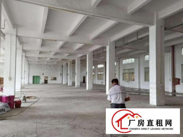  龙岗新生一楼1180平二楼560平厂房出租可分租