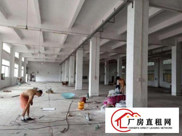  龙岗新生一楼1180平二楼560平厂房出租可分租