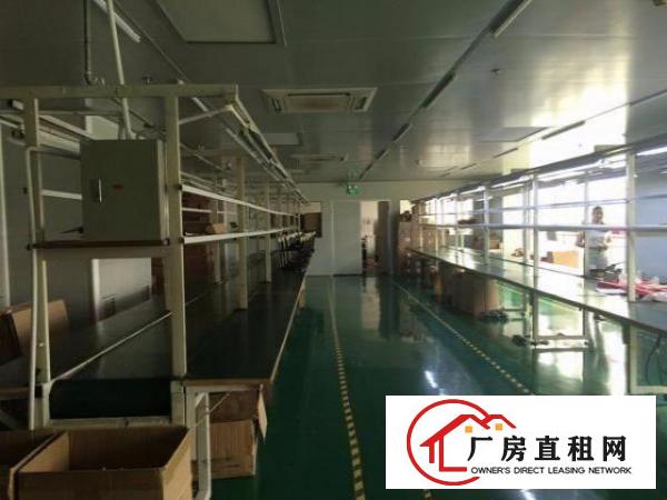  龙岗厂房500平1000平出租带装修地坪漆