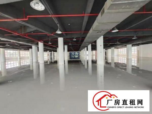  南联地铁站精装修厂房仓库200平400平500至3000平