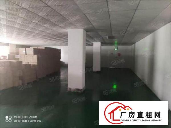  龙岗新生新出楼上厂房500平米出租精装修带红本仅15块