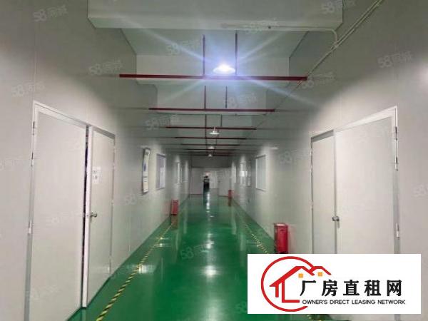  龙岗中心城独门独院厂房5000平米，可分租现成装修带红本
