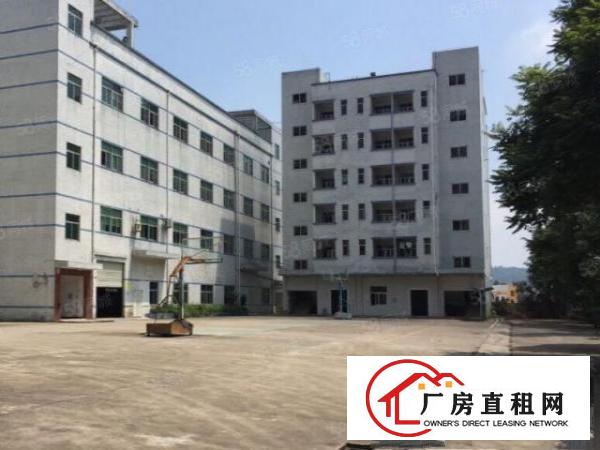  龙岗中心城独门独院厂房5000平米，可分租现成装修带红本