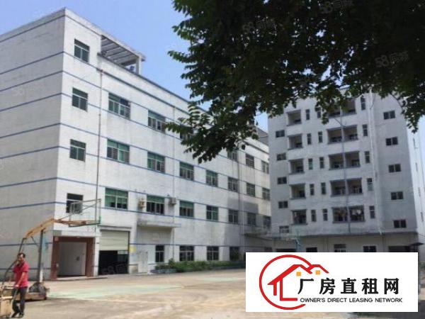 龙岗中心城独门独院厂房5000平米，可分租现成装修带红本